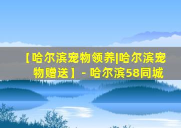 【哈尔滨宠物领养|哈尔滨宠物赠送】- 哈尔滨58同城